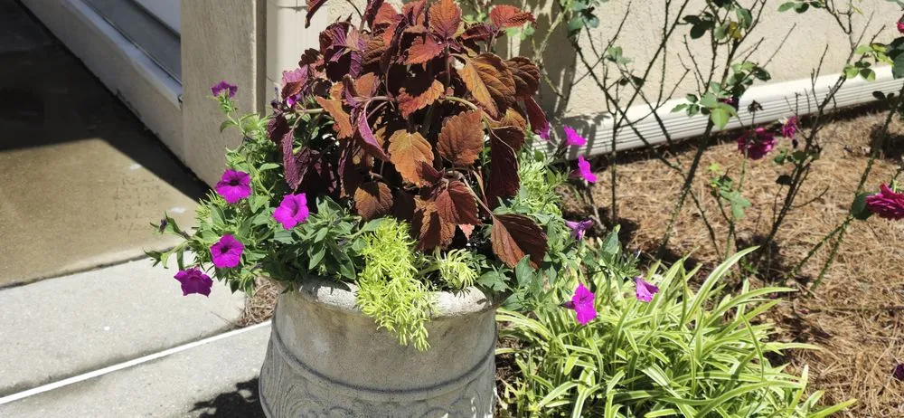 Local landscaping services with custom design across Fayetteville, GA - Goldenscapes