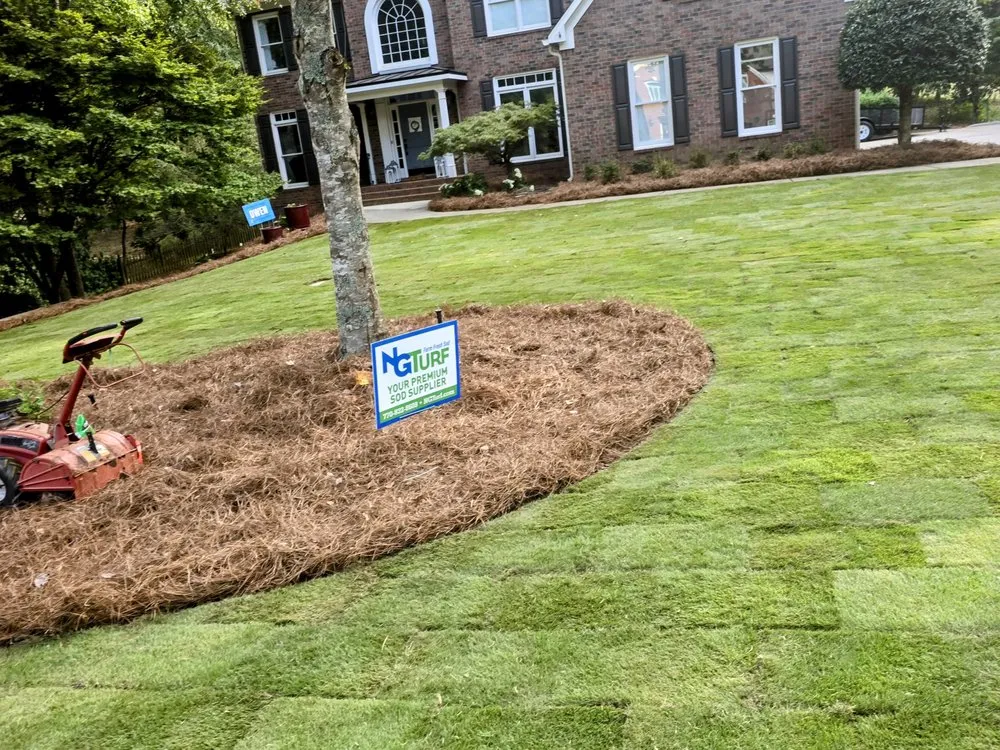 Professional lawn care service in Fayetteville, GA - Goldenscapes