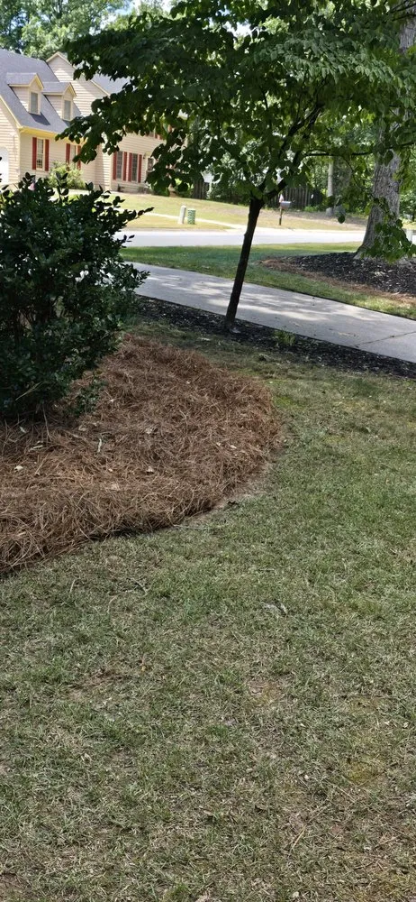 Top-rated residential landscaping in Fayetteville, GA by Goldenscapes