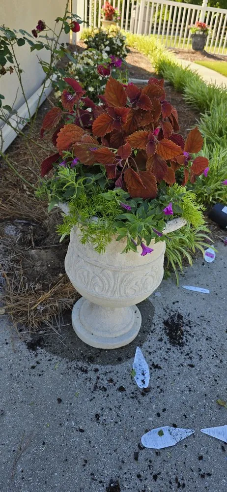 Expert outdoor landscaping in Fayetteville, GA - Goldenscapes