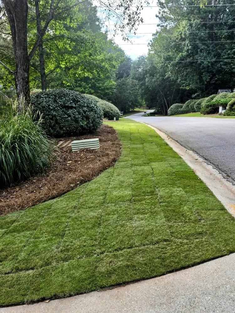 Trusted yard cleanup service for beautiful yards across Fayetteville, GA - Goldenscapes