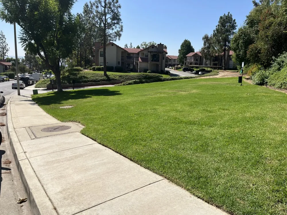 Local landscape installation experts serving Camarillo, CA - Goldenstate Landscapes