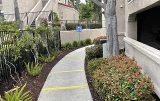 Trusted outdoor landscaping in Camarillo, CA by Goldenstate Landscapes