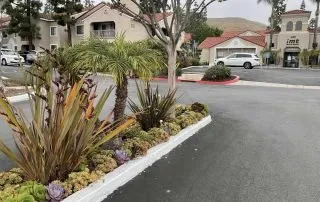 Affordable lawn mowing service experts serving Camarillo, CA - Goldenstate Landscapes