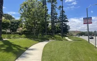 Expert landscape design for beautiful yards across Camarillo, CA - Goldenstate Landscapes