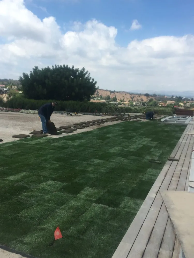 Affordable lawn care service in Camarillo, CA by Goldenstate Landscapes