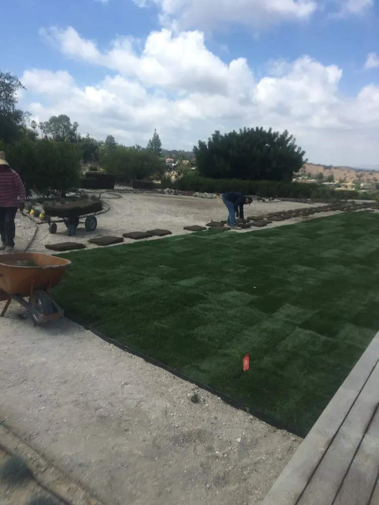 Local outdoor landscaping experts serving Camarillo, CA - Goldenstate Landscapes