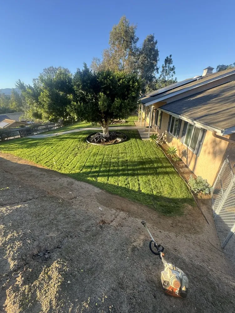 Local landscape installation for outdoor upgrades across Escondido, CA - Goldenstate Treescape