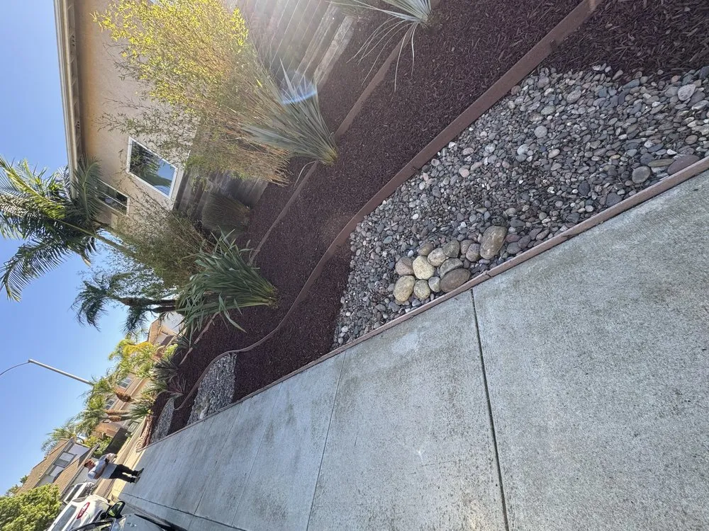 Affordable lawn care service for outdoor upgrades across Escondido, CA - Goldenstate Treescape