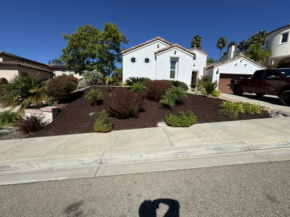 Professional yard cleanup service in Escondido, CA by Goldenstate Treescape