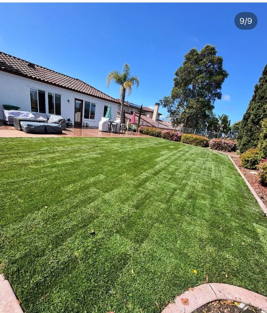 Local yard cleanup service in Escondido, CA by Goldenstate Treescape