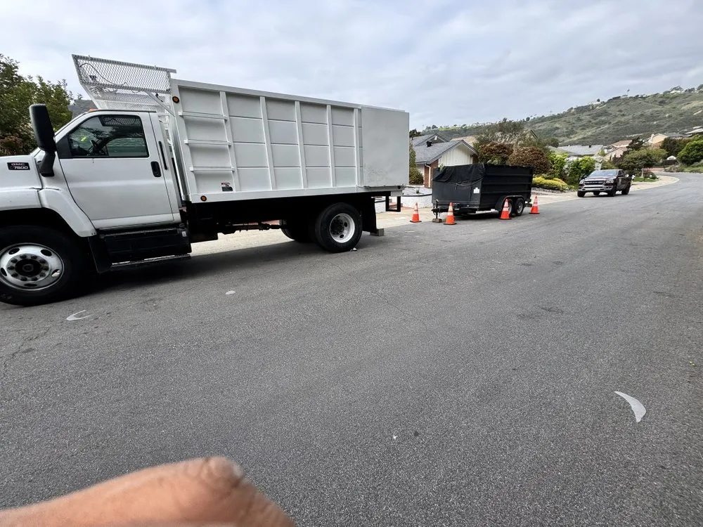 Affordable lawn care service for homes across Escondido, CA - Goldenstate Treescape