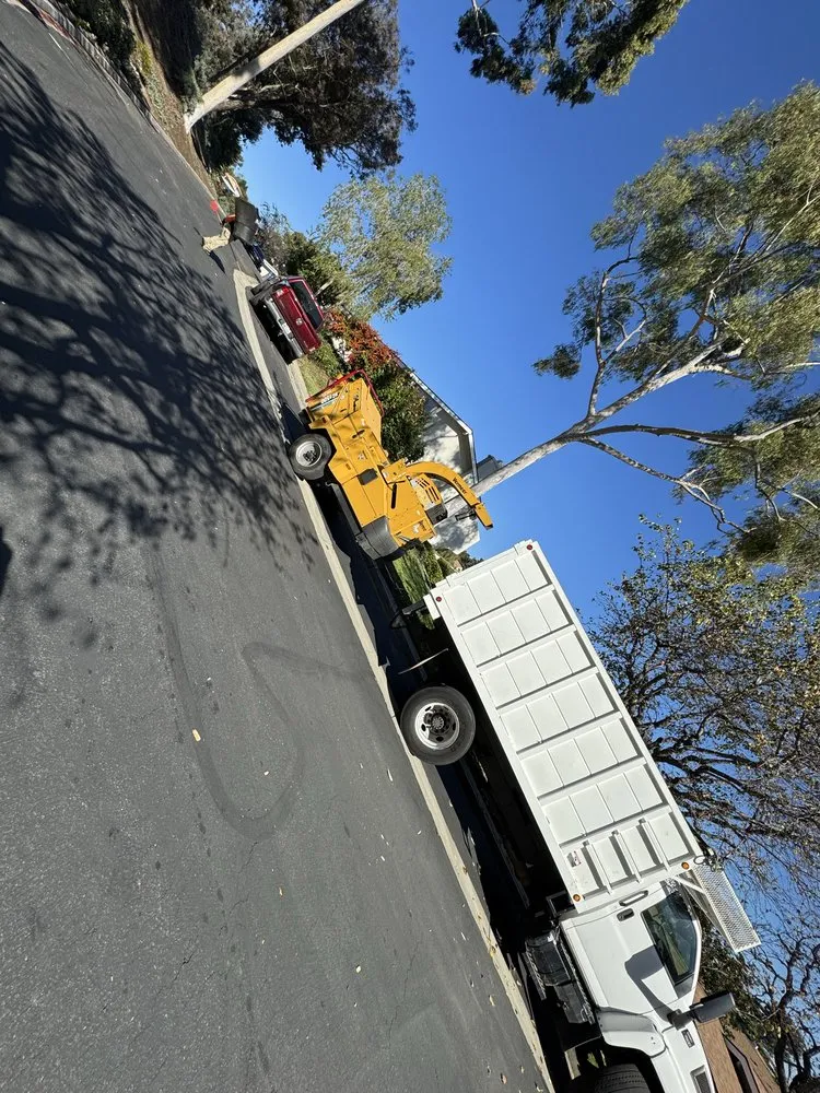 Professional landscaping services in Escondido, CA by Goldenstate Treescape