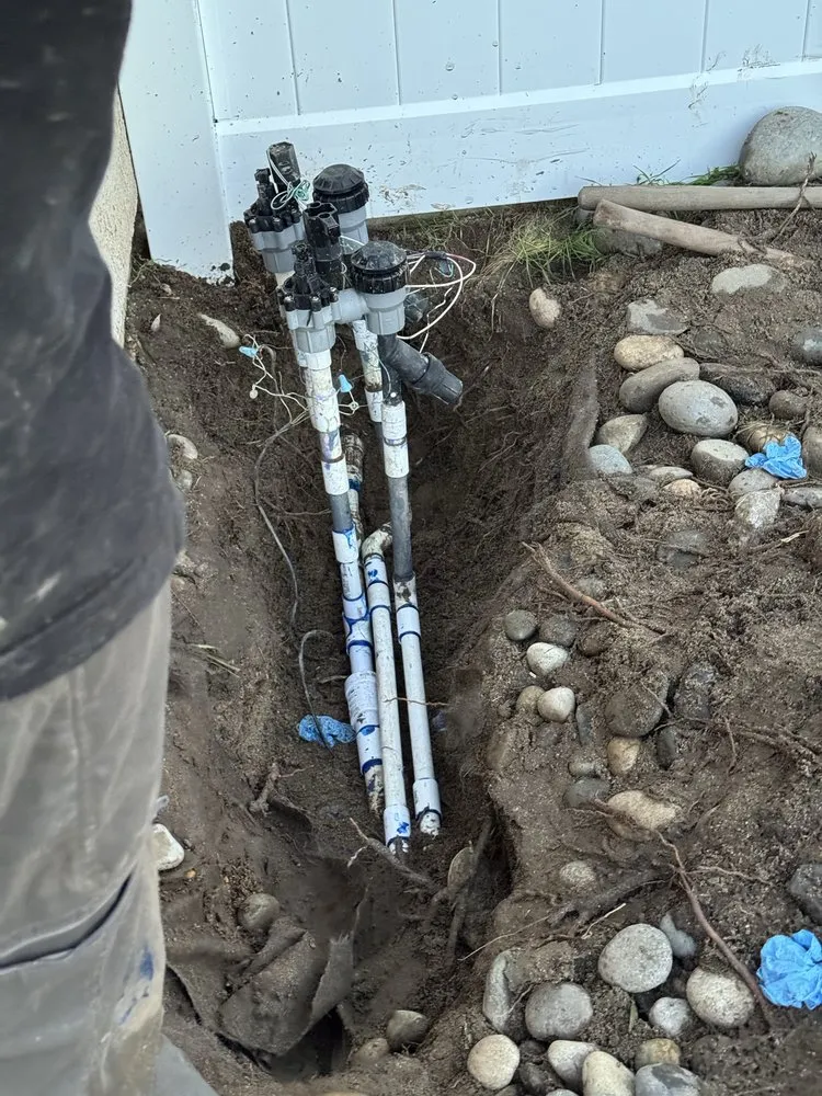 Affordable garden landscaping in Escondido, CA by Goldenstate Treescape