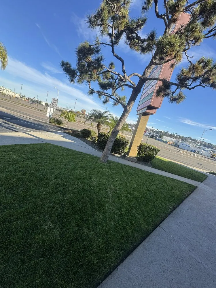 Local outdoor landscaping experts serving Escondido, CA - Goldenstate Treescape