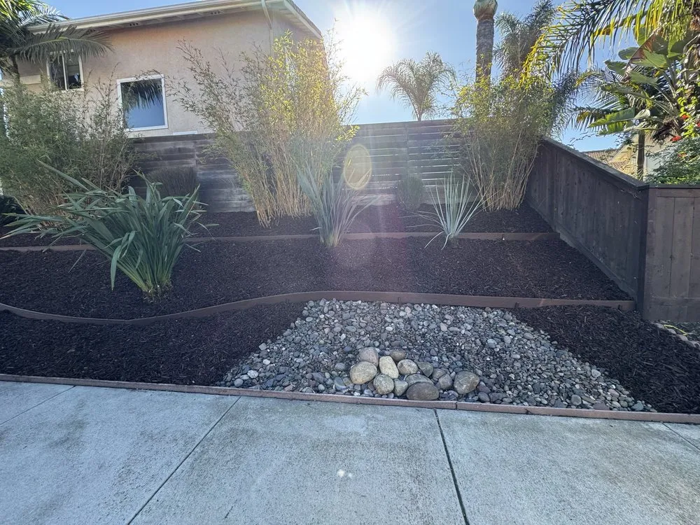 Local residential landscaping experts serving Escondido, CA - Goldenstate Treescape