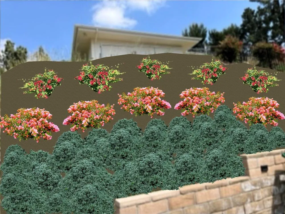 Expert landscaping services in Glendale, CA by GoldenWest Landscape Consultants