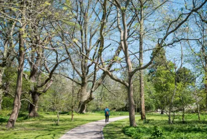 Top-rated residential landscaping in Glendale, CA by GoldenWest Landscape Consultants