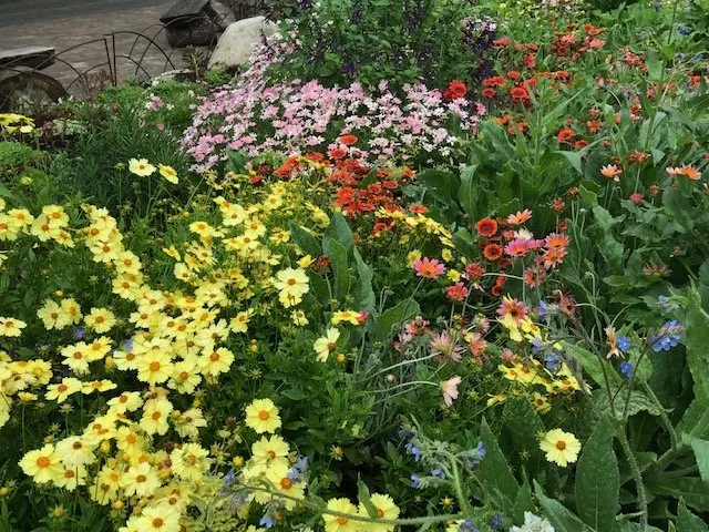 Expert residential landscaping experts serving Glendale, CA - GoldenWest Landscape Consultants