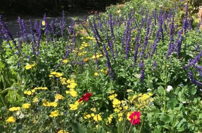 Expert landscape installation for residential properties in Glendale, CA by GoldenWest Landscape Consultants