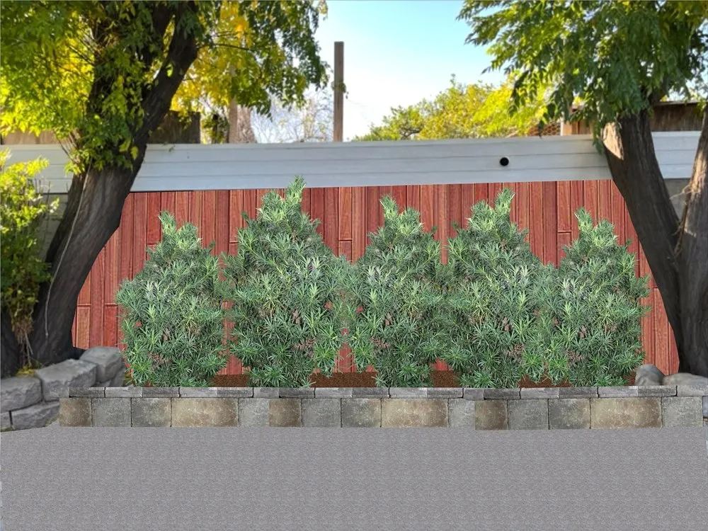 Affordable lawn care service in Glendale, CA by GoldenWest Landscape Consultants