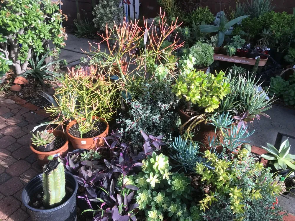 Trusted lawn mowing service experts serving Glendale, CA - GoldenWest Landscape Consultants