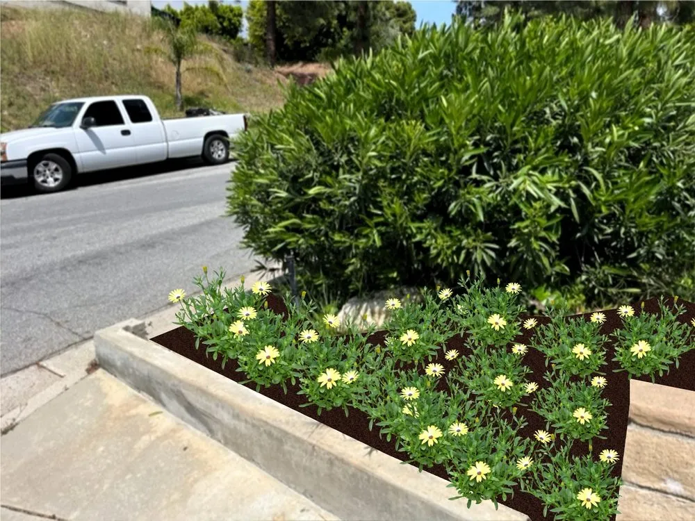 Trusted landscaping services experts serving Glendale, CA - GoldenWest Landscape Consultants