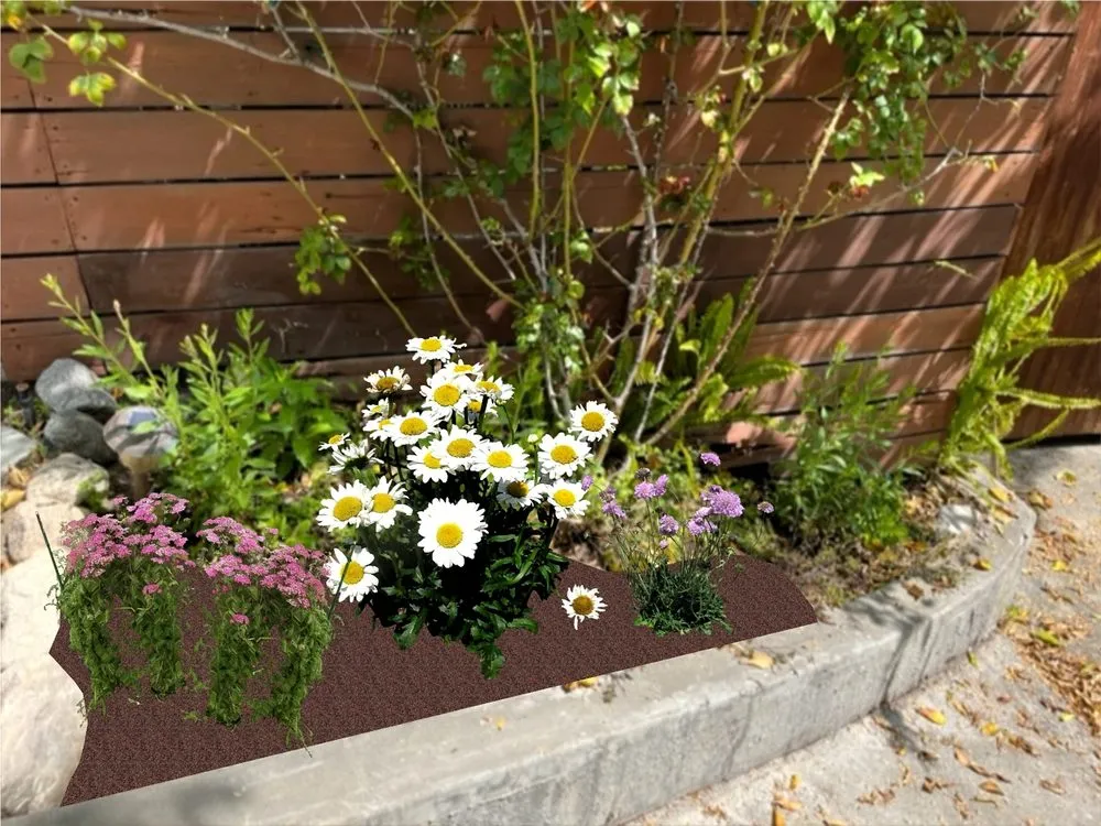 Affordable residential landscaping in Glendale, CA - GoldenWest Landscape Consultants