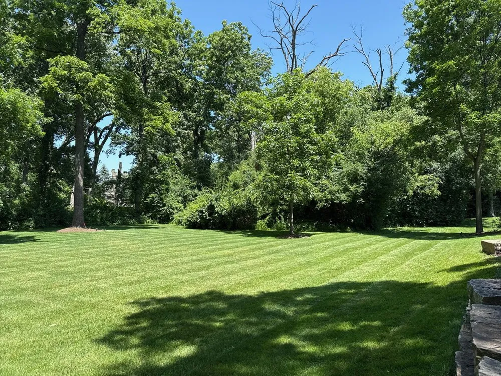 Affordable landscaping services with custom design across Grayslake, IL - Goldenwoods Landscaping