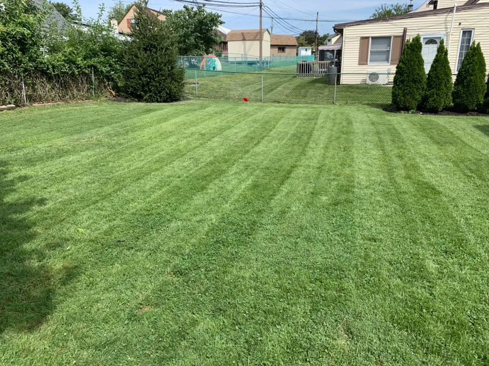 Expert lawn care service for beautiful yards in Levittown, PA by Goldey Landscaping