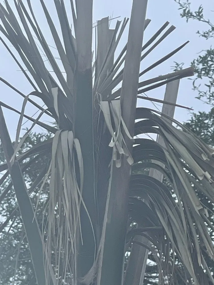 Local lawn mowing service for outdoor upgrades across Oak Island, NC - Goldfuss Irrigation