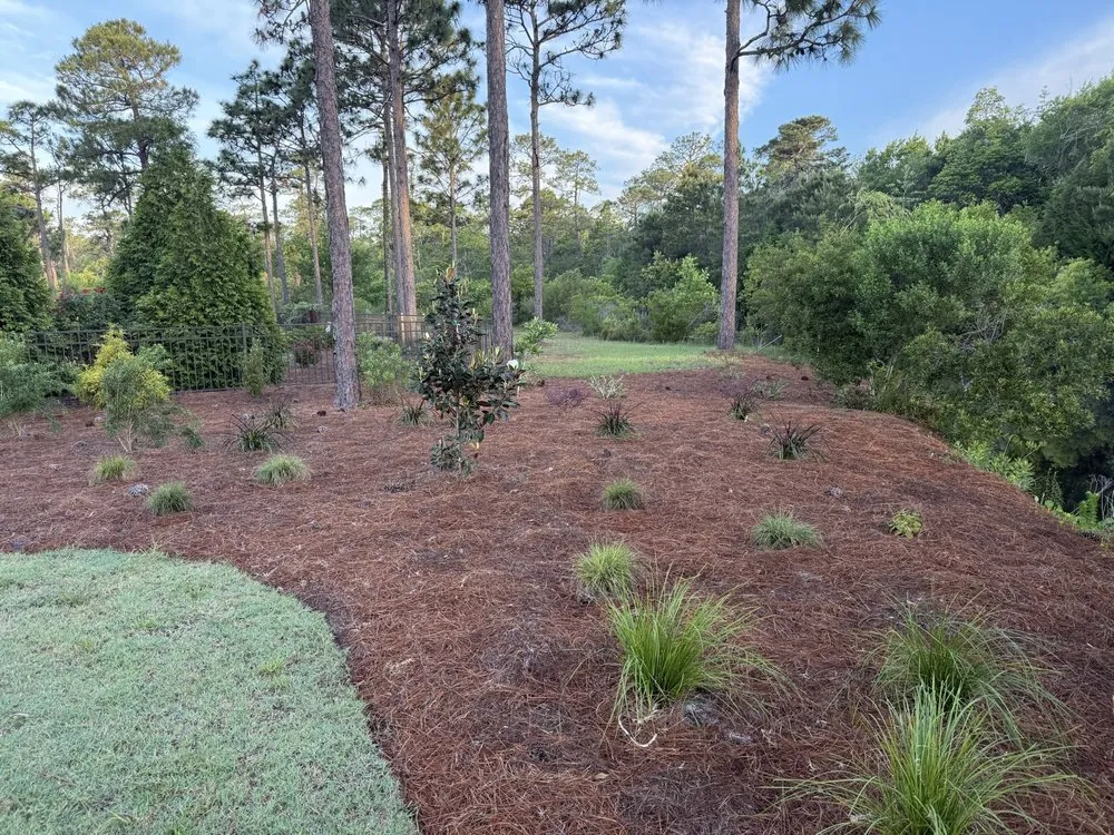 Professional landscape design in Oak Island, NC - Goldfuss Irrigation