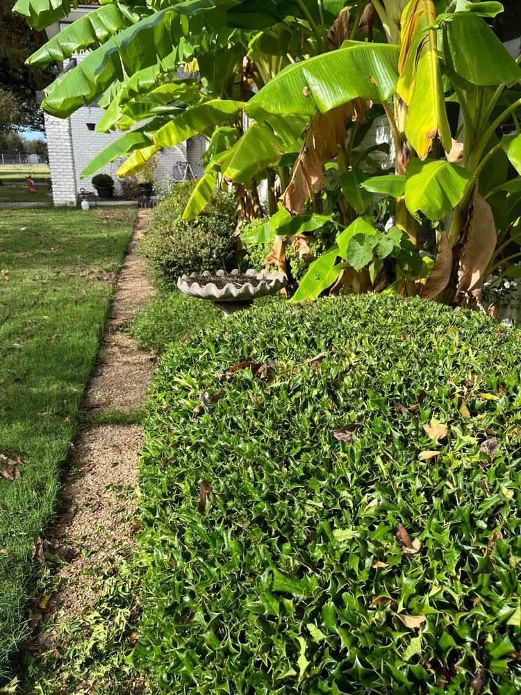 Trusted garden landscaping experts serving Irving, TX - Goldgreen Landscaping Service