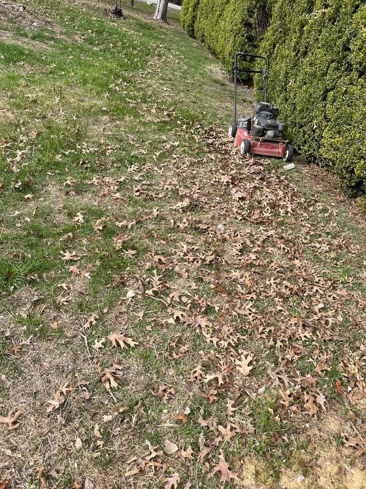 Affordable outdoor landscaping for homes in Irving, TX by Goldgreen Landscaping Service