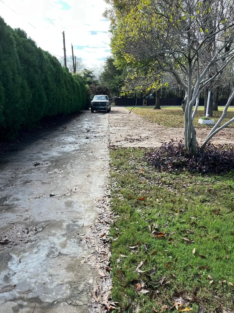 Affordable garden landscaping in Irving, TX - Goldgreen Landscaping Service