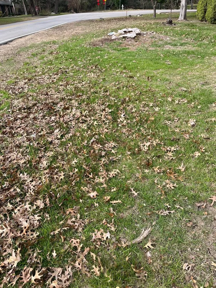 Expert outdoor landscaping in Irving, TX by Goldgreen Landscaping Service