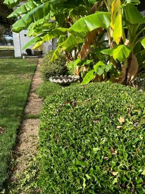 Goldgreen Landscaping Service Logo