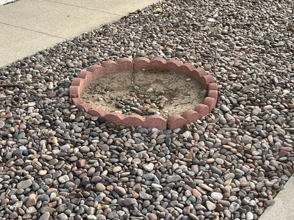 Affordable yard maintenance experts serving Encino, CA - Goldin Pools