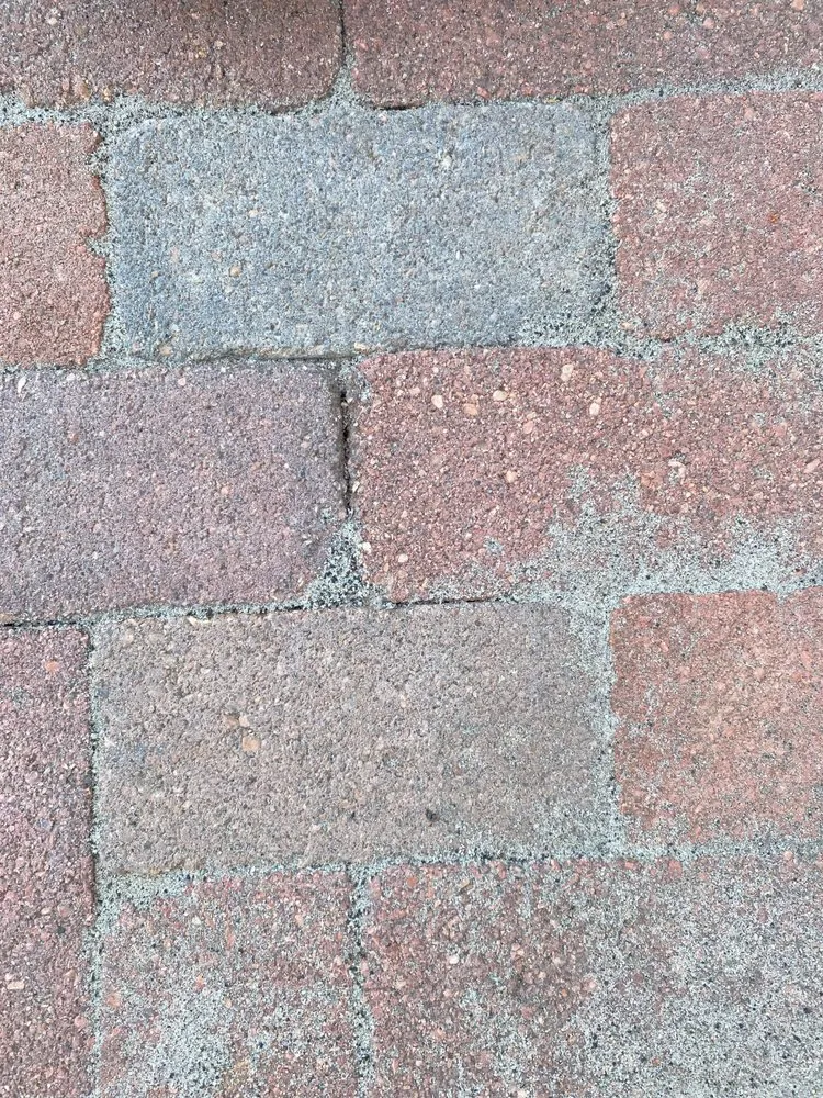 Reliable lawn care service for outdoor upgrades in Aurora, CO by Golding Golding Hardscaping & Landscaping