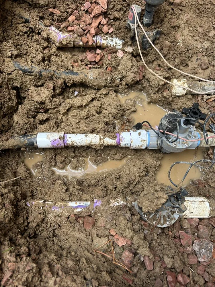 Reliable lawn care service for beautiful yards in Aurora, CO by Golding Golding Hardscaping & Landscaping