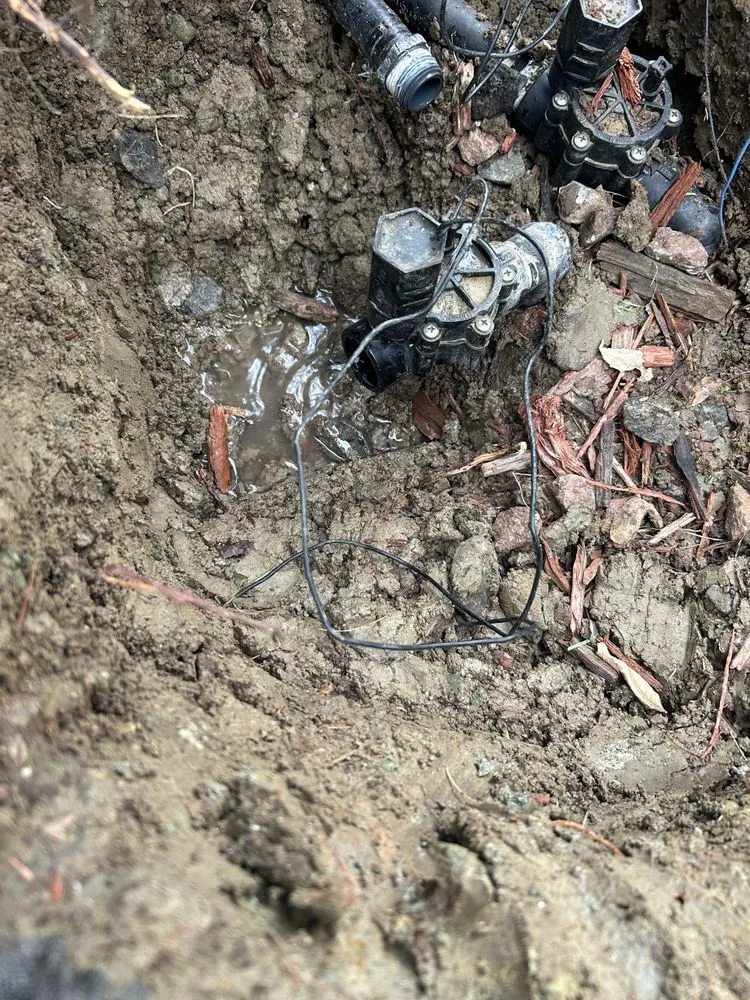 Professional residential landscaping near you in Aurora, CO by Golding Golding Hardscaping & Landscaping