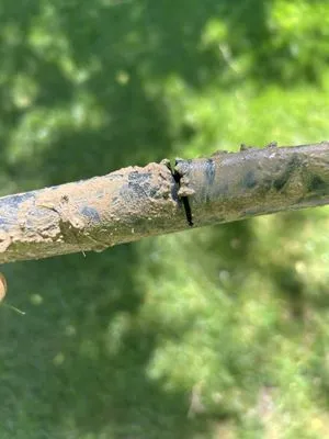 Golding Golding Hardscaping & Landscaping