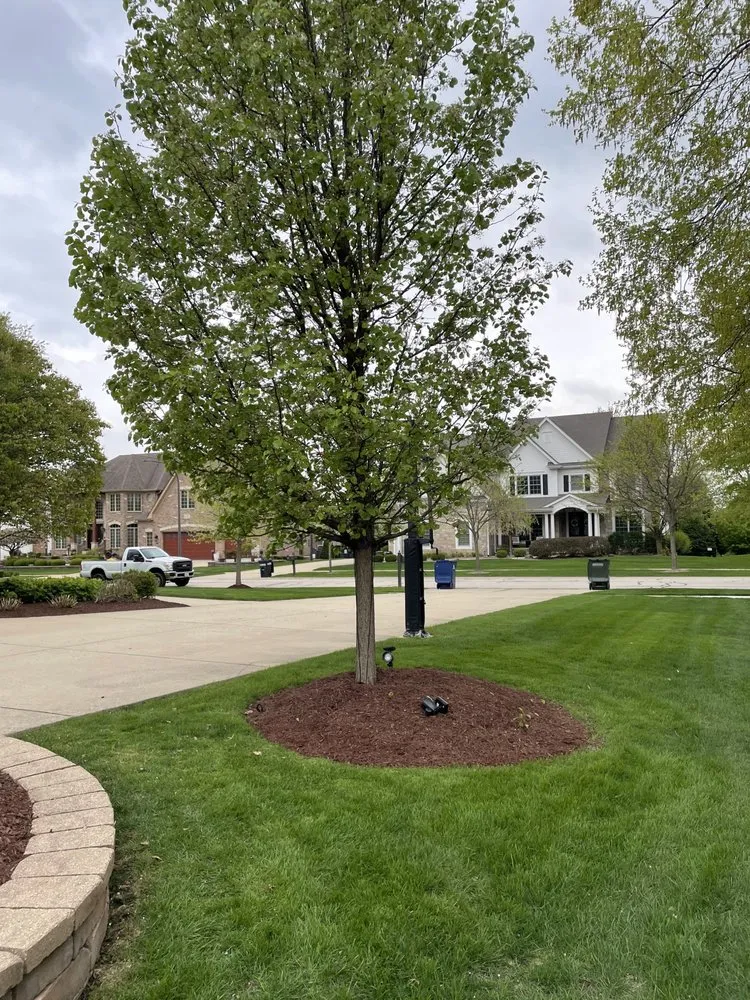 Top-rated landscape design with custom design across Naperville, IL - GoldLeaf Landscapes