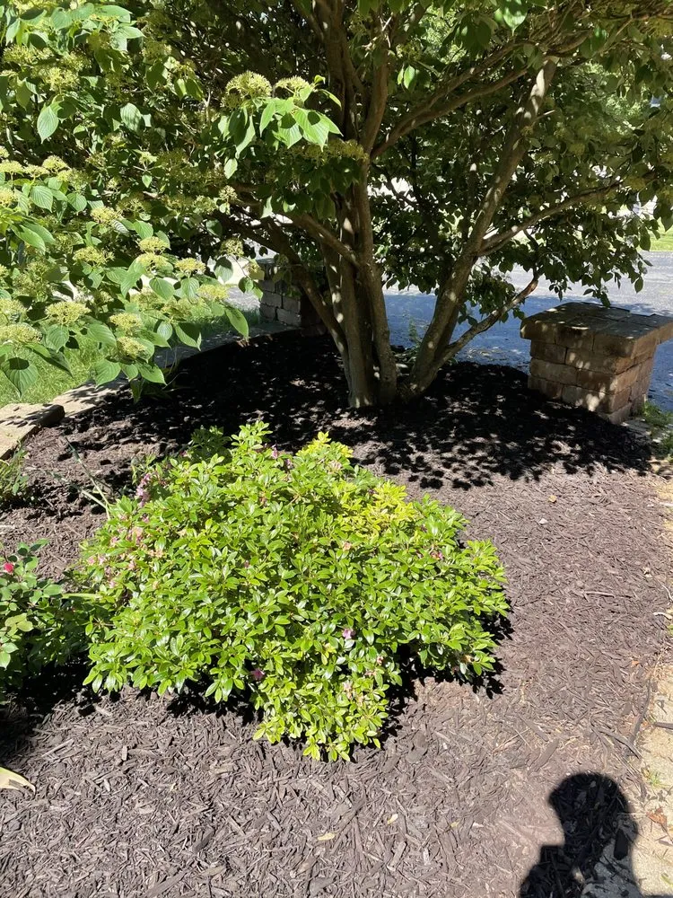 Trusted residential landscaping in Naperville, IL - GoldLeaf Landscapes