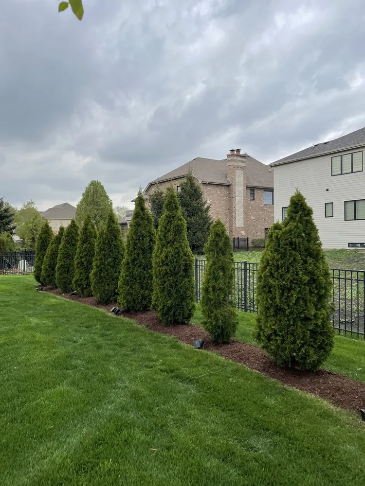 Trusted lawn mowing service in Naperville, IL - GoldLeaf Landscapes