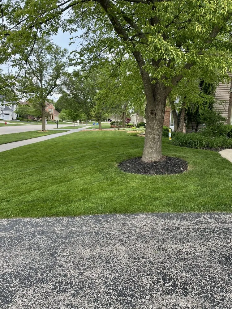 Local landscape design for outdoor upgrades across Naperville, IL - GoldLeaf Landscapes