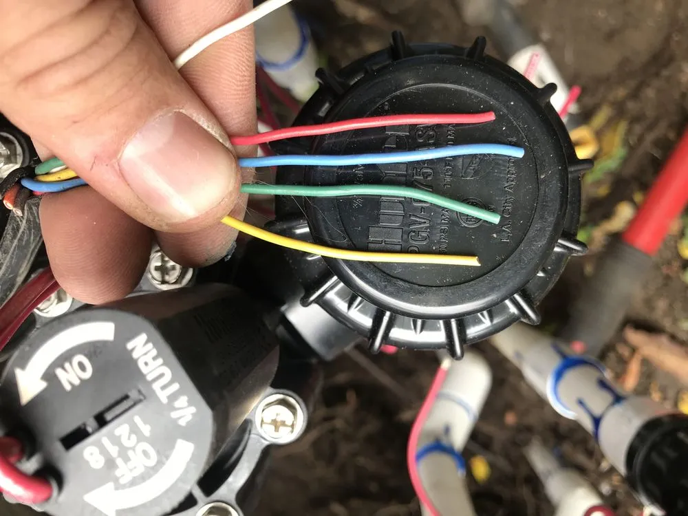 Expert yard maintenance in Hermosa Beach, CA - Goldman Landscape