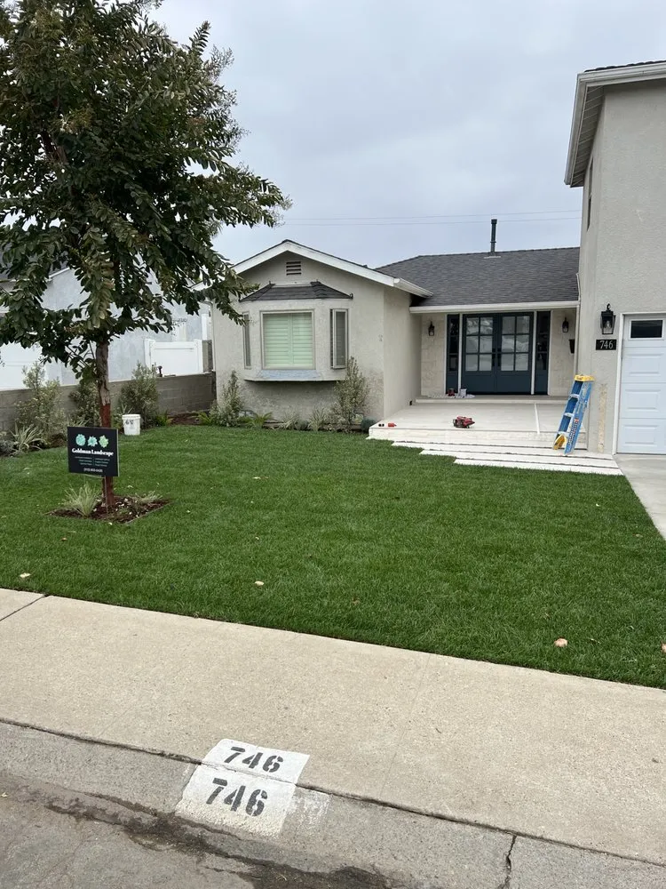 Affordable residential landscaping in Hermosa Beach, CA by Goldman Landscape