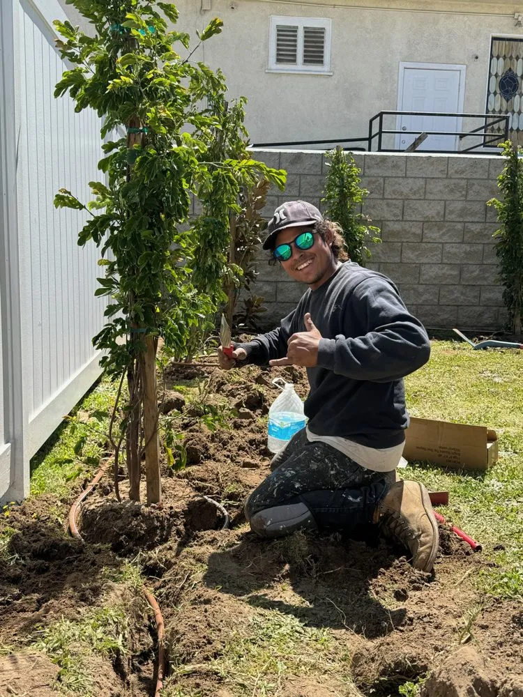 Trusted yard maintenance in Hermosa Beach, CA by Goldman Landscape