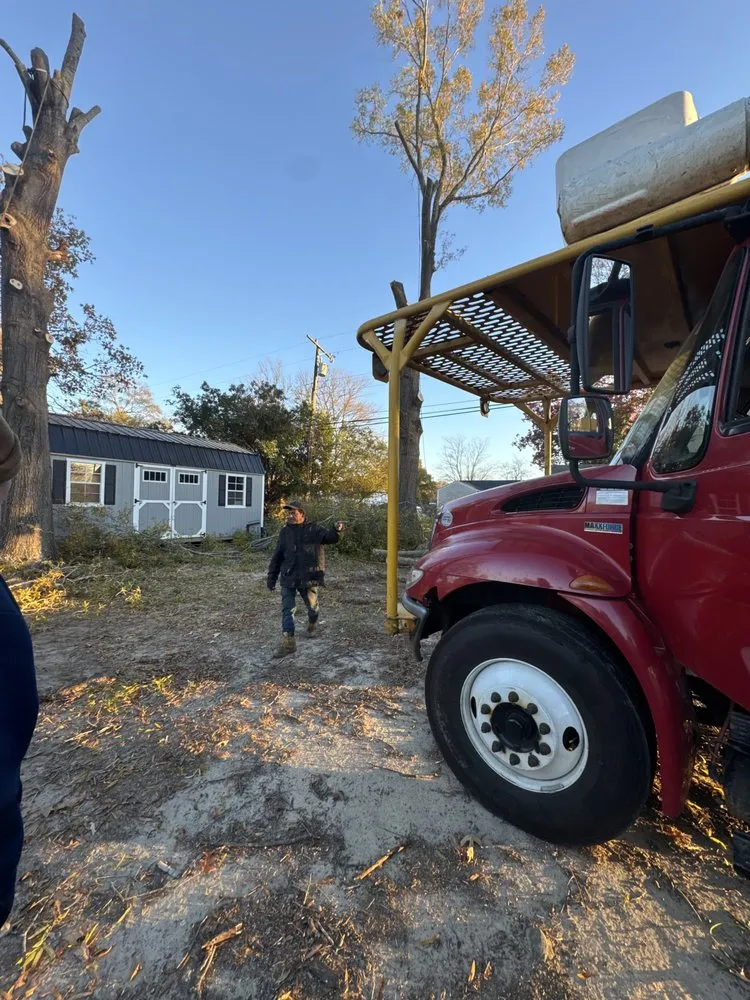 Affordable residential landscaping in Graham, NC - Goldman's Tree Service